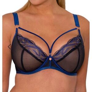 NWOT Curvy Kate Scantilly Submission Plunge Bra